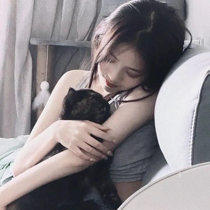 佩尼特环游世界的爱