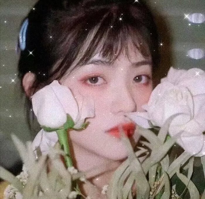 同居男女异星汪