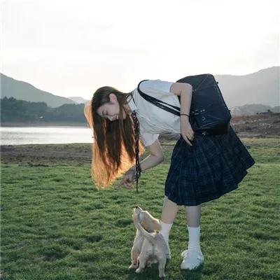 我的老板是小猪